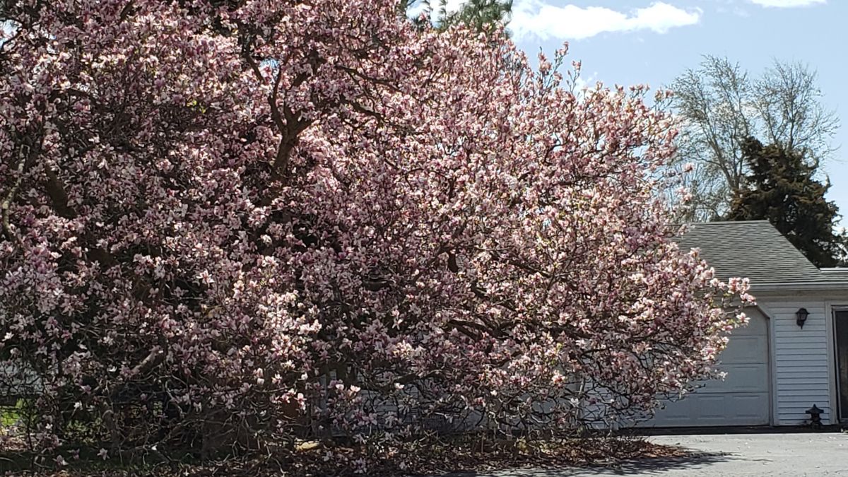 Spring is in the air