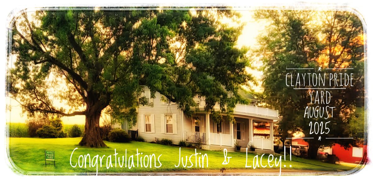 August's Yard Pride Winner